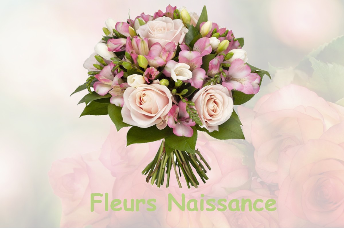 fleurs naissance FRAISANS