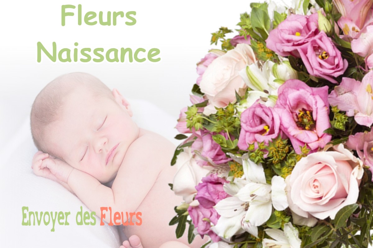 lIVRAISON FLEURS NAISSANCE à FRAISANS